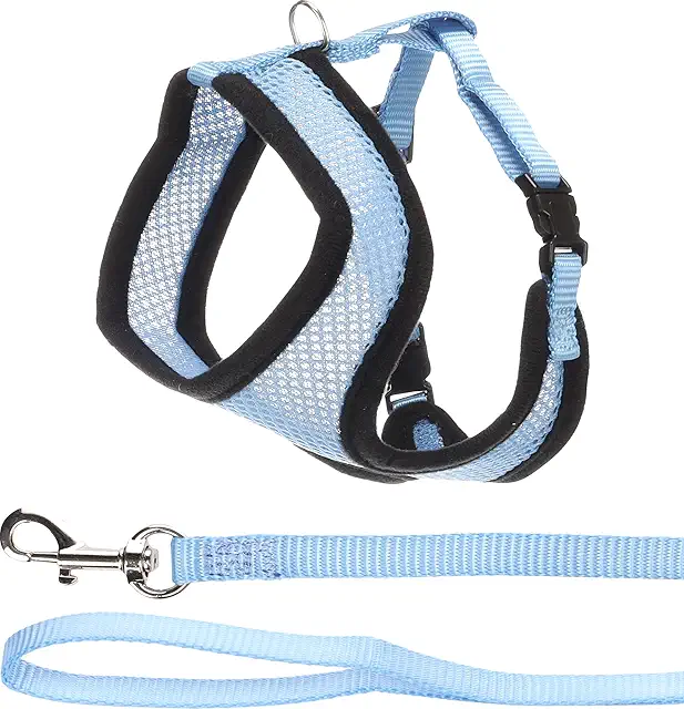 Flamingo Harms Kitten Harness with Leash - Blue - Adjustable Nylon for Cats