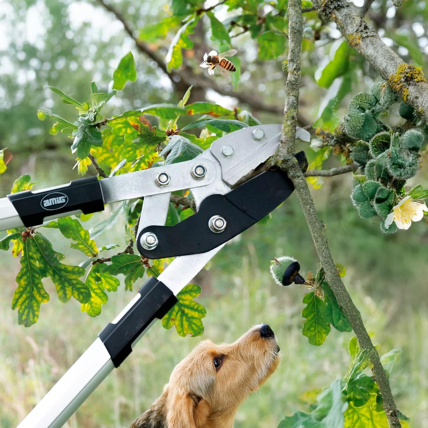 Amig - Forbici da Potatura a Due Mani | Manico in Alluminio e Lama Rivestita in Teflon | 76 cm | Taglio a Incudine | Capacità di Taglio 45 mm | Per Rami Secchi e Duri di Alberi e Arbusti