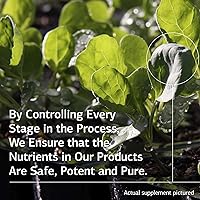 Vista 4 de Proceso Estándar - Cal-Ma Plus - 90 Tabletas