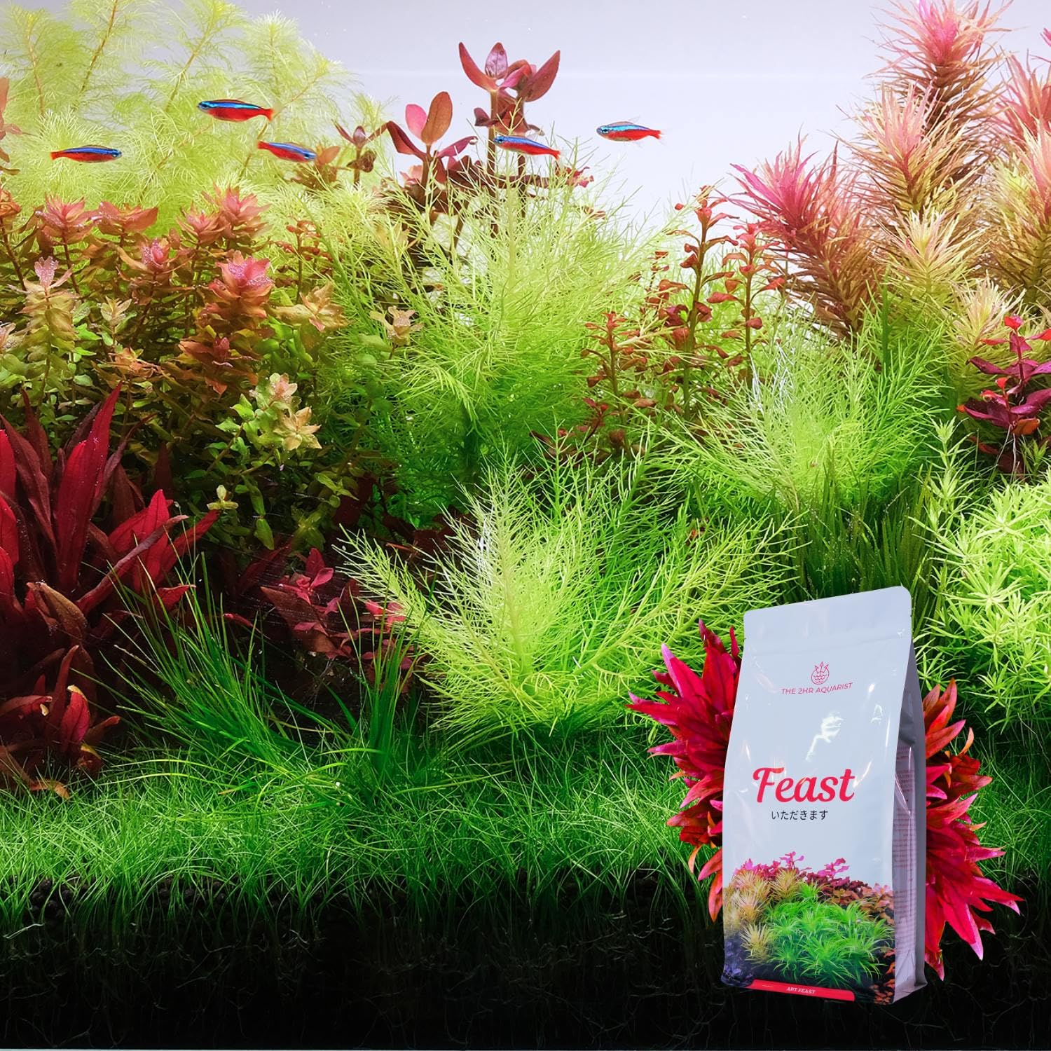 2HR Aquarist APT Feast - Substrato per Acquario
