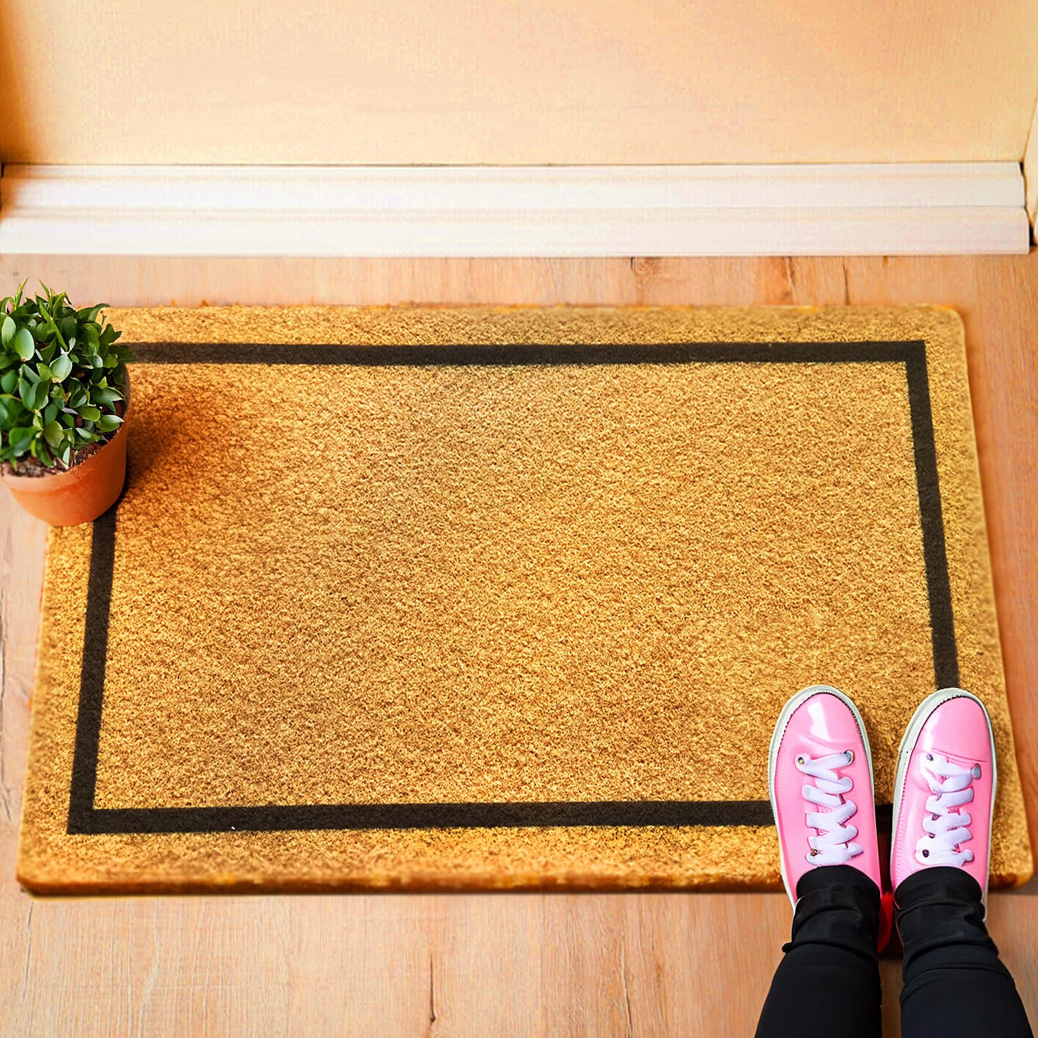 DD GUARD [ 75 * 45 cm] Heavy Duty Durable Door Mat, Dirt Trapping, Welcome mat Entrance for Home, Balcony & Kitchen, Non slip absorbent rugs and Designed to Suits for All Seasons.