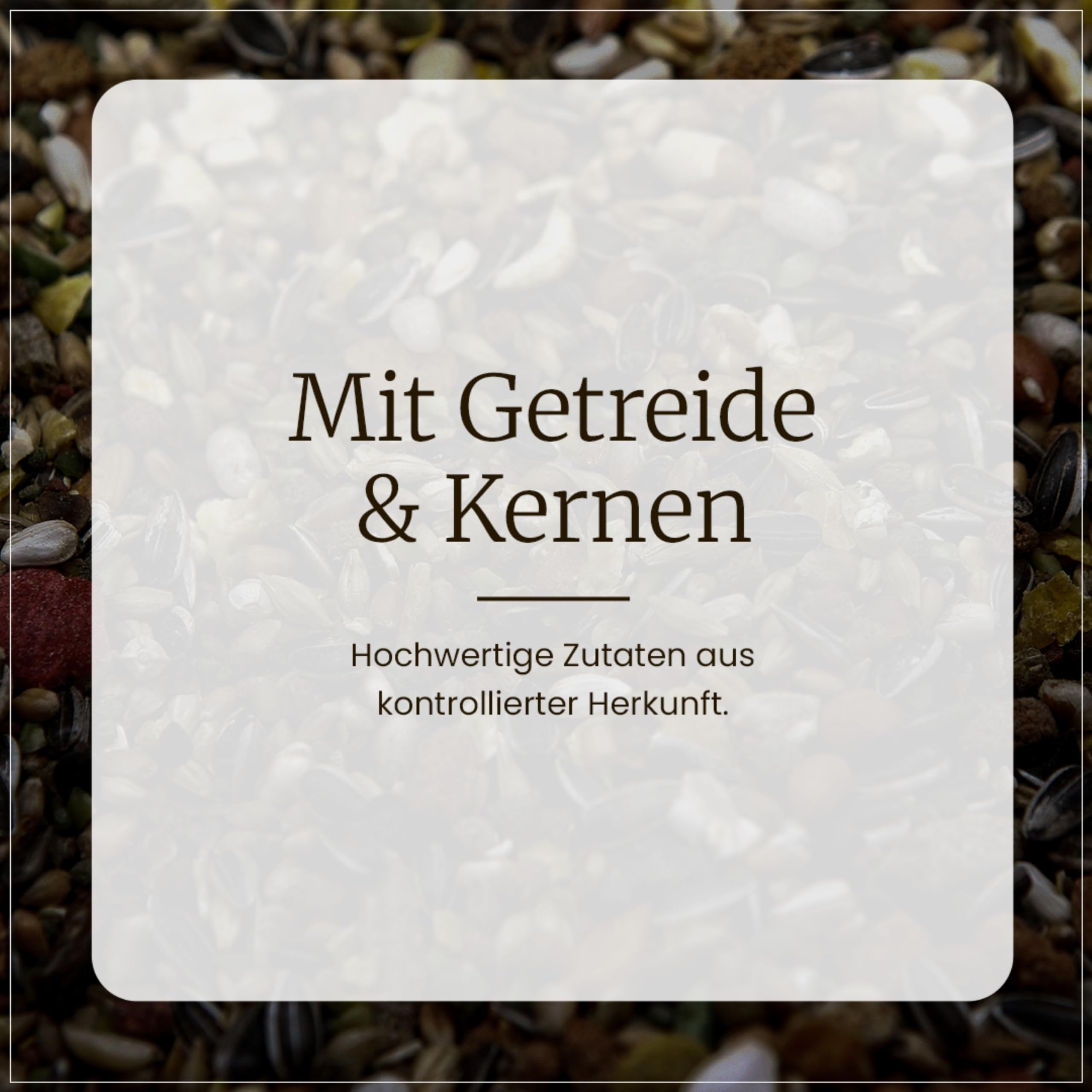 Erdtmanns 50 Meisenknödel mit Netz im Eimer 4,25 kg – Vogelfutter mit Getreideflocken & Sonnenblumenkernen – Ganzjahresfutter für Wildvögel – für Garten, Balkon & Bäume