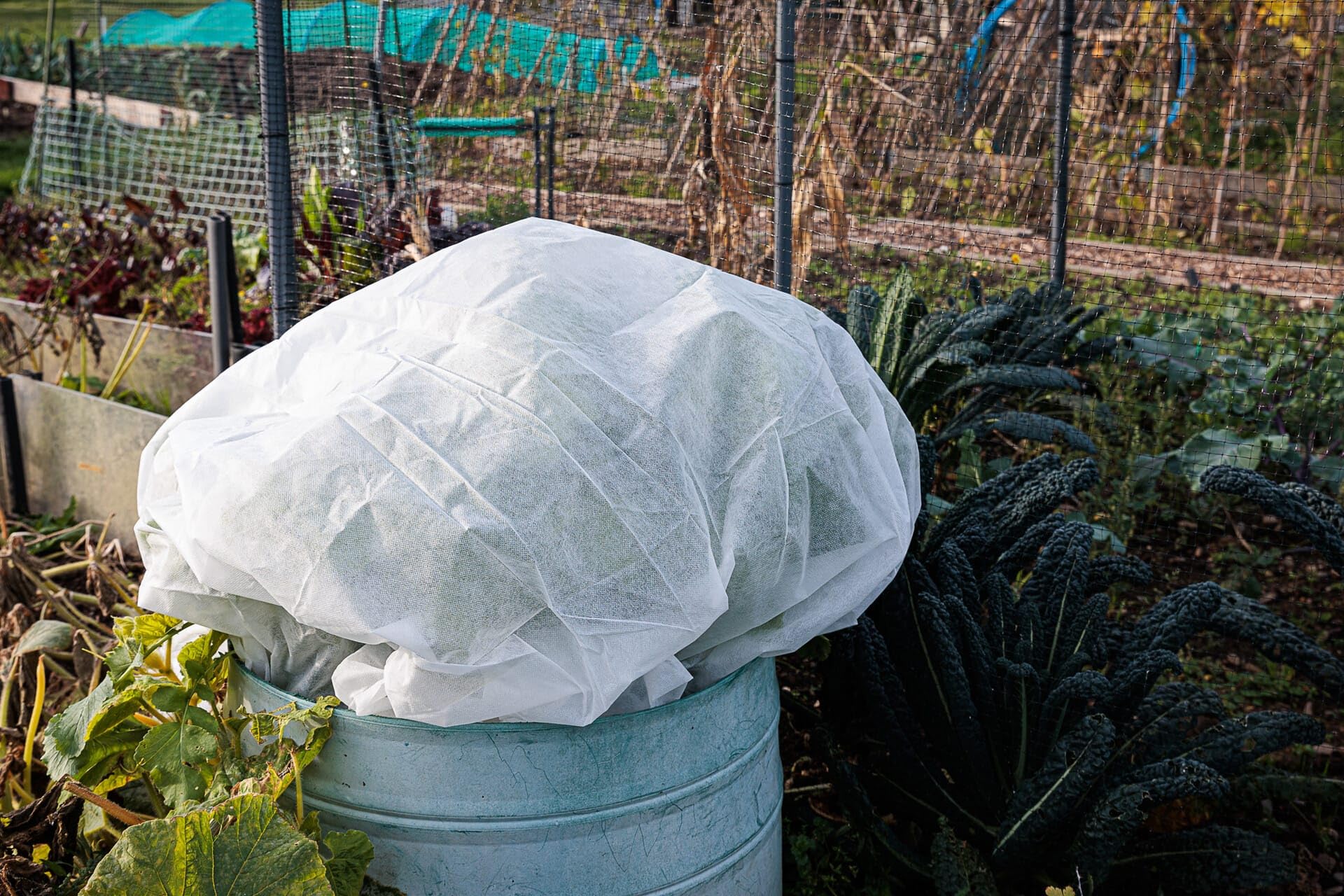 Horticultural Fleece Covers for Plants, Heavy Duty Garden Fleece, Garden Frost Protection for Plants, Fleece Wrap for Plants - Image 4