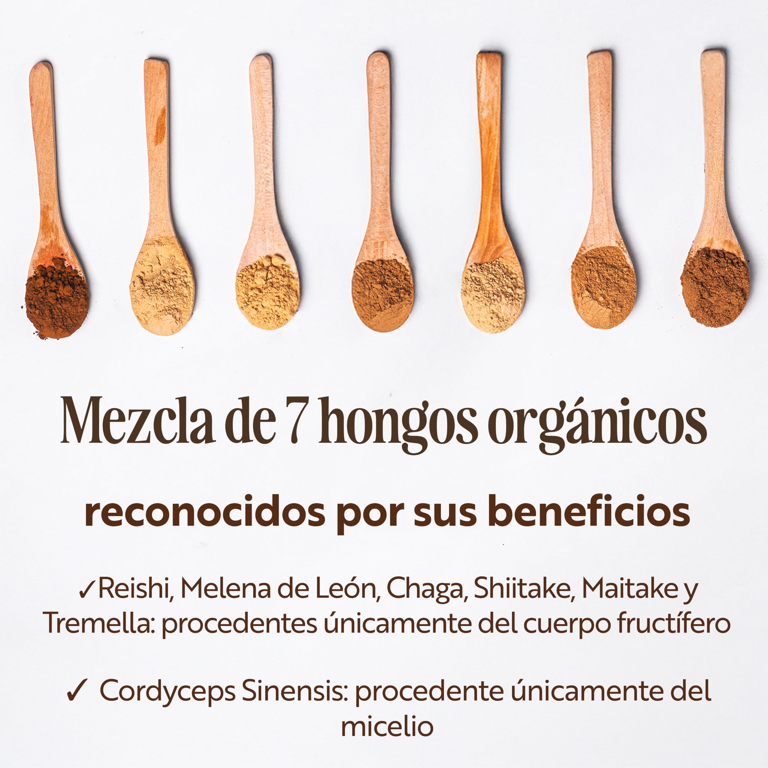 Sevenhills Wholefoods Mezcla de Siete Setas Orgánico En Polvo (Reishi, Chaga, Shiitake, Maitake, Melena De León, Cordyceps, Tremella) 500g