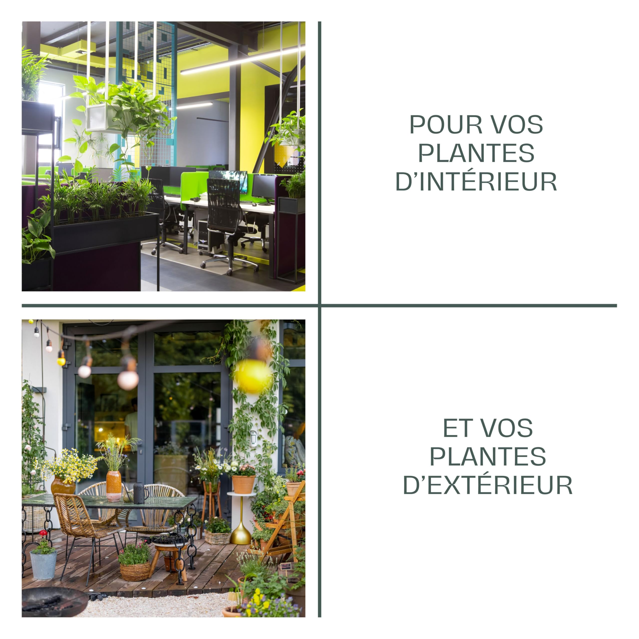 LA PLAINE CHASSART - Terreau Rempotage 20L - Solution Spécifique pour Plantes en Pot - Toutes Les Variétés de Plantes d'Intérieur & Extérieur - Plantes Vertes & Fleuries