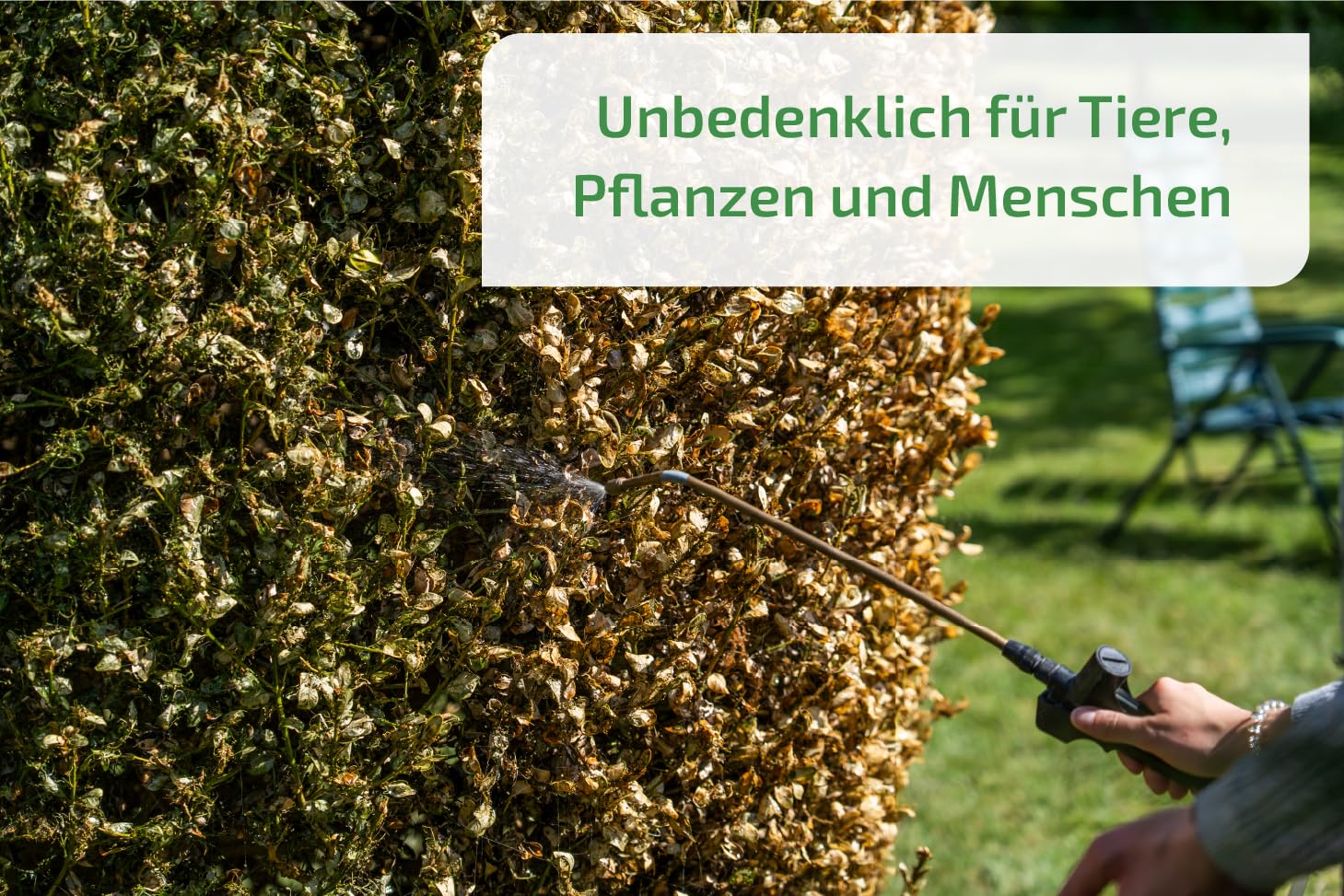 nema-care® Raupenfrei | Nematoden gegen Buchsbaumzünsler | 2 x 10 Mio Nematoden | e-nema