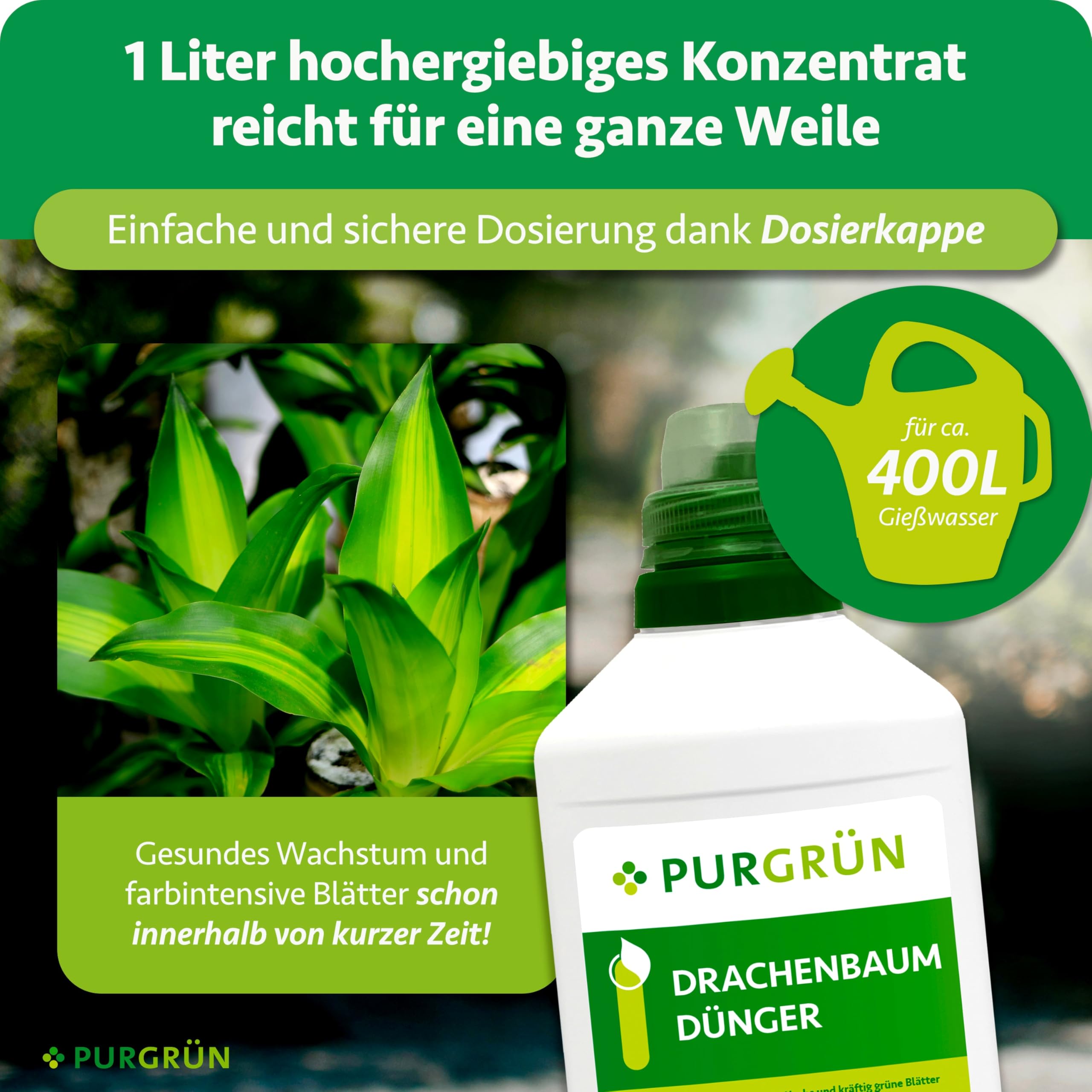 Drachenbaum-Dünger 1 Liter – Schnell wirksame mineralische Rezeptur – Premium-Flüssigdünger mit Spurennährstoffen – NPK 10+4+6 – Stärkt die Widerstandskraft – Für leuchtend grüne Blätter