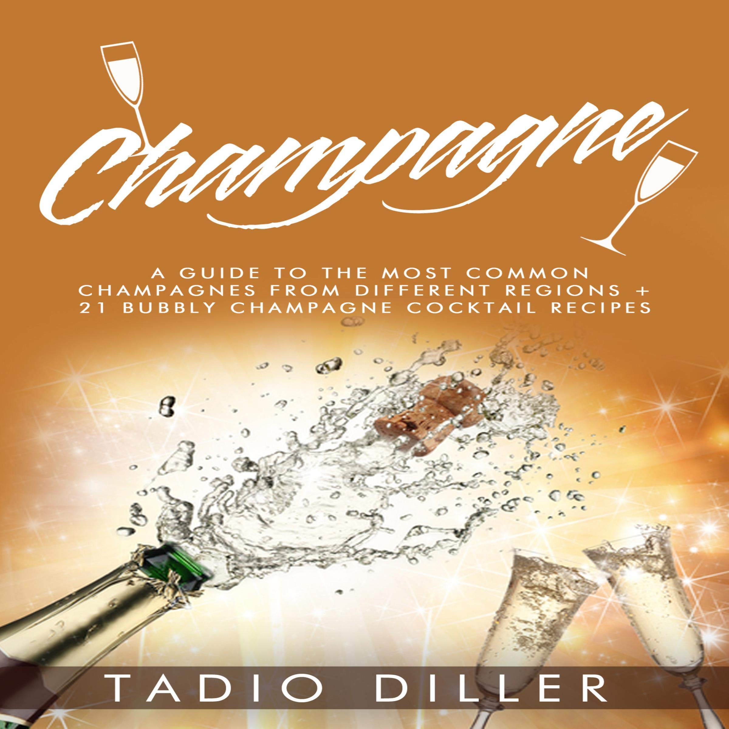 Buy Champagne A Guide to the Most Common Champagnes from Different