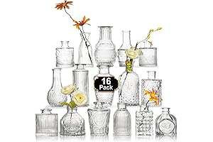 Arme 16Pcs Glass Bud Vase Set: Perfect for Centerpieces and Rustic Wedding Decorations
