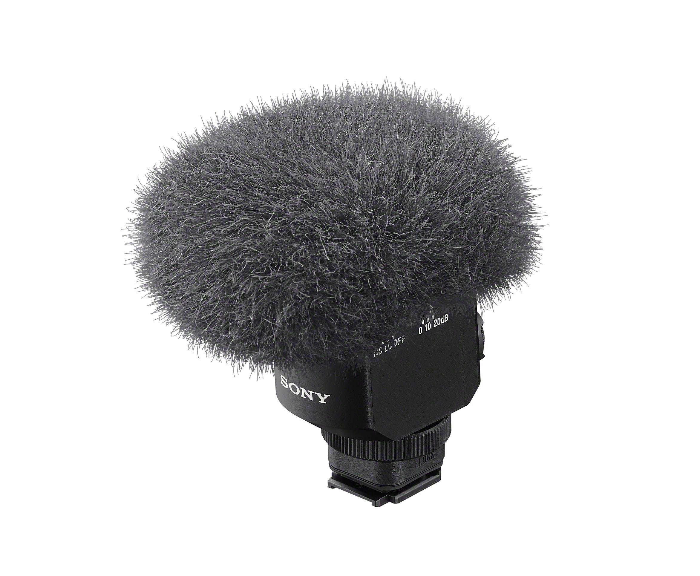 Sony ECM-M1 Microphone à Condensateur Compact pour Vidéo, Caméras et Youtube