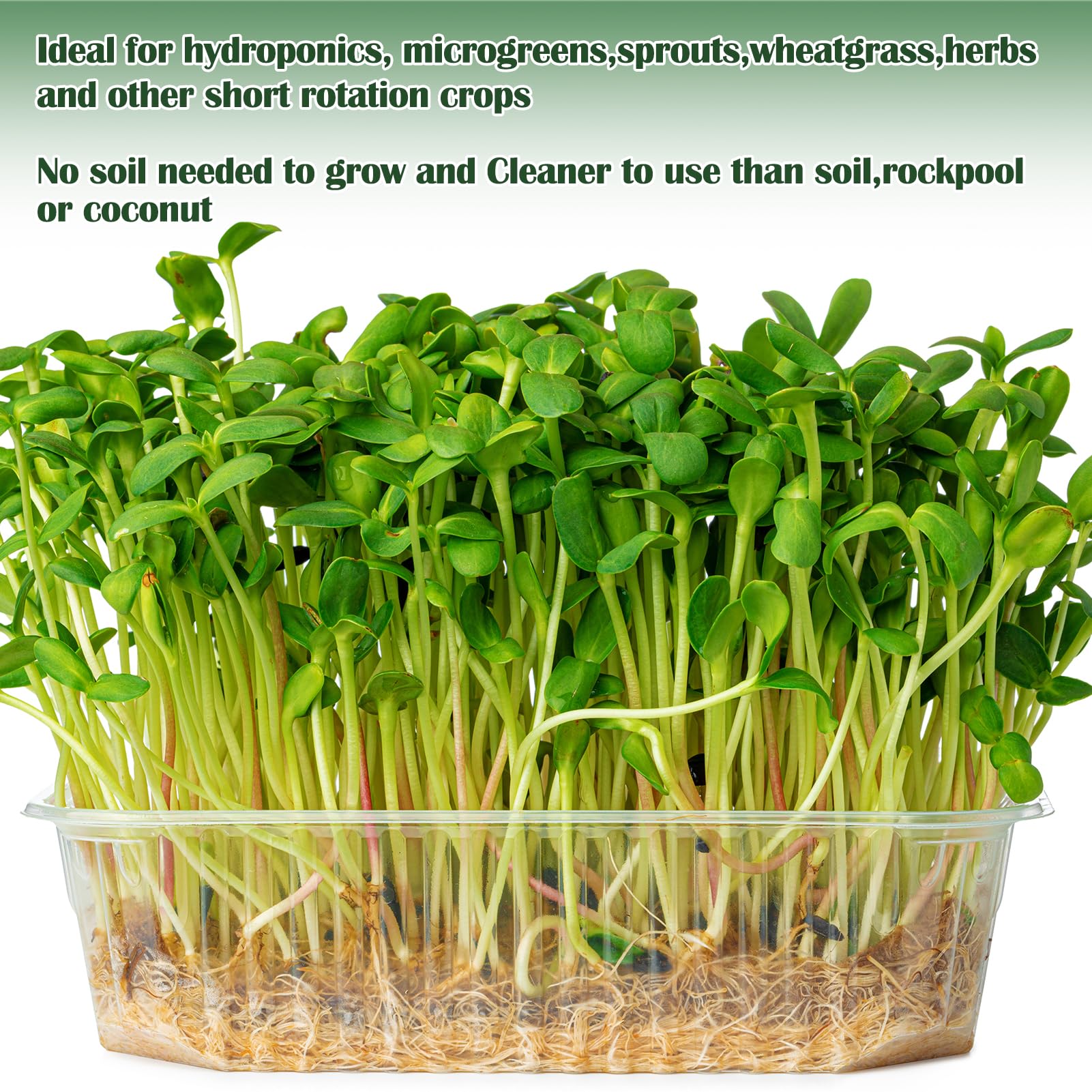 Microgreen Wachstumsmatte aus Naturfaser, Hydrokultur-Pads, für den Innenbereich, organische Produktion für Microgreen, Starterschale, Weizengrassprossen, 1 Rolle, 25,4 x 398,8 cm