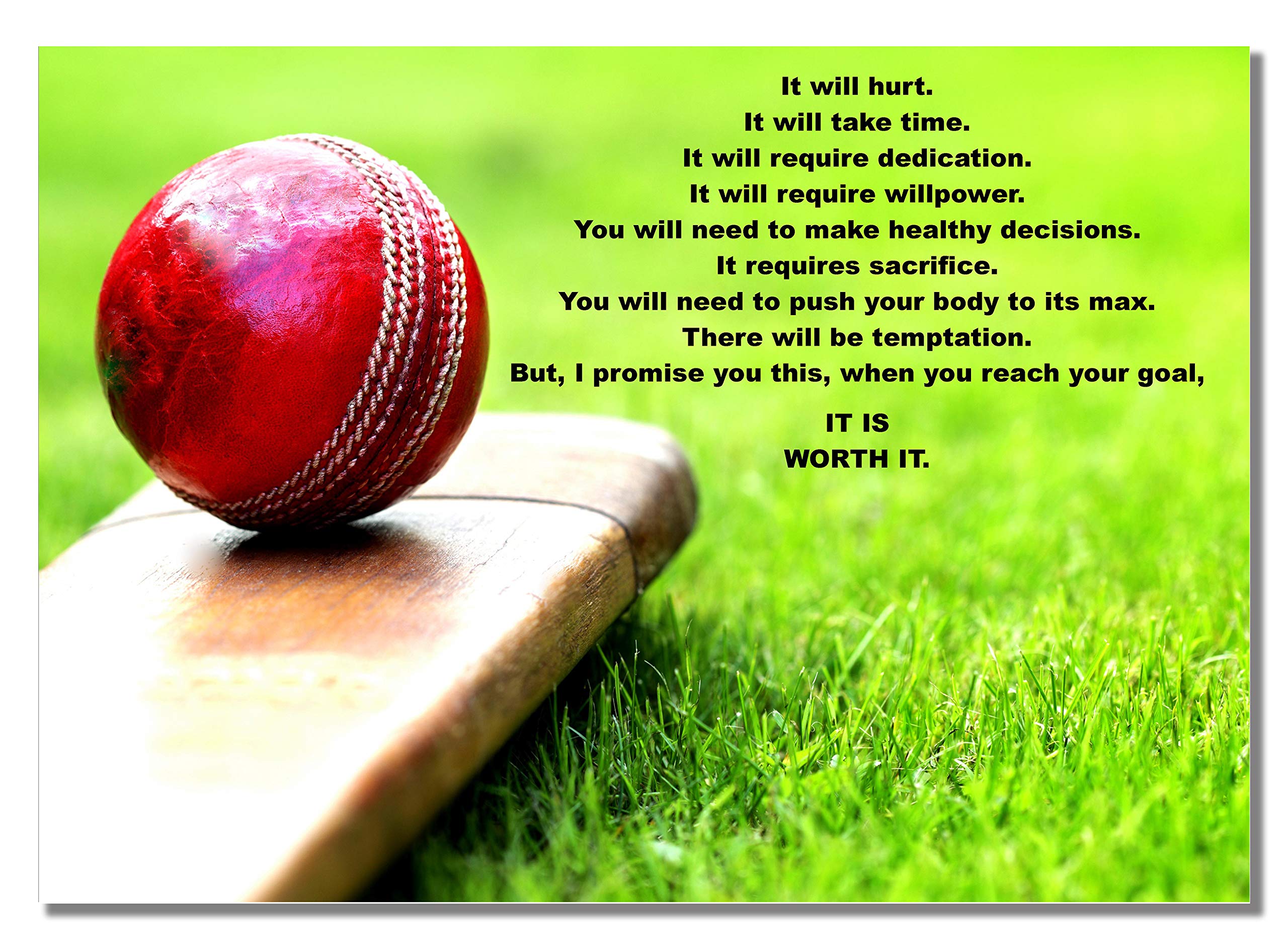Cricket It Will Hurt A3 Unframed Bat and Ball Game Inspirational Sport Quote Poster Motivational Photo Picture