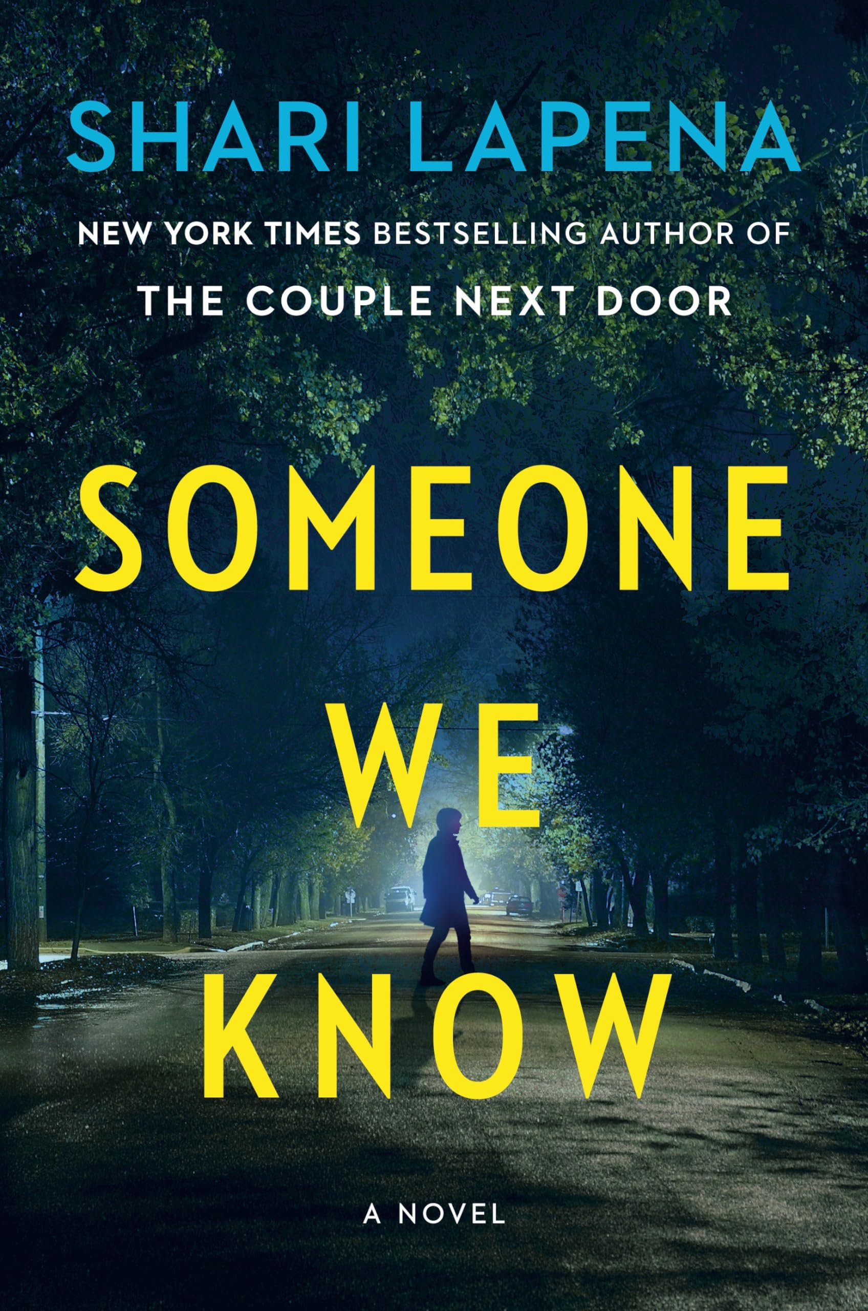 Someone We Know: A Novel Hardcover – July 30, 2019