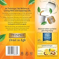 Vista 454 de Twinings Blackcurrant Breeze - Té negro, 6 paquetes de 20 unidades, bolsas de té envueltas individualmente, dulce, sabor picante, con cafeína