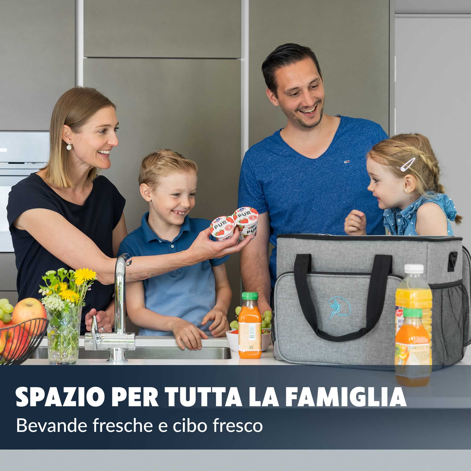 Obics Borsa termica porta pranzo 20 e 30 litri - Frigo isoterma portatile per alimenti, ufficio, picnic e da viaggio - Borsa-Frigo rigida e termiche isolata