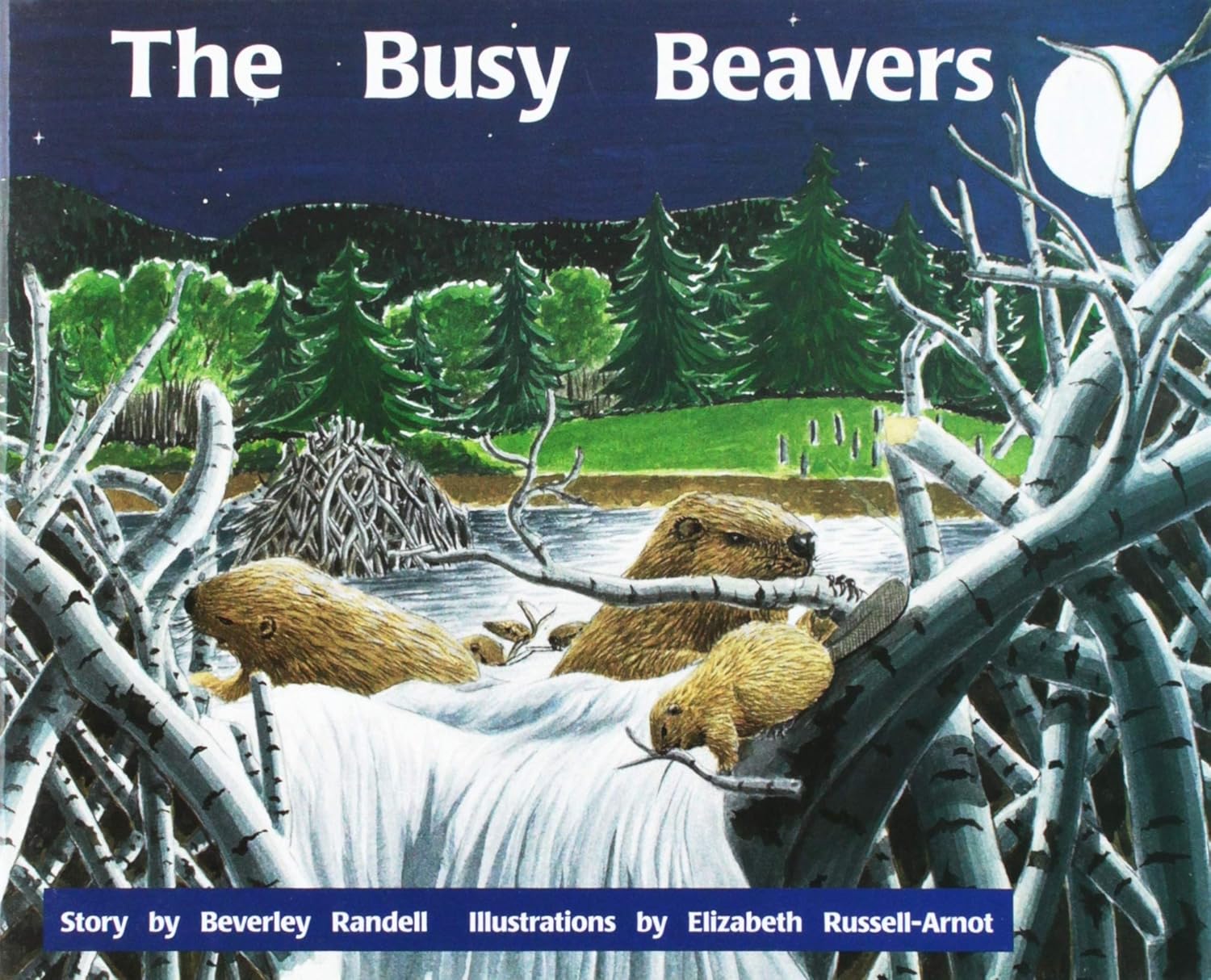 The Busy Beavers Individual Student Edition Orange (Levels