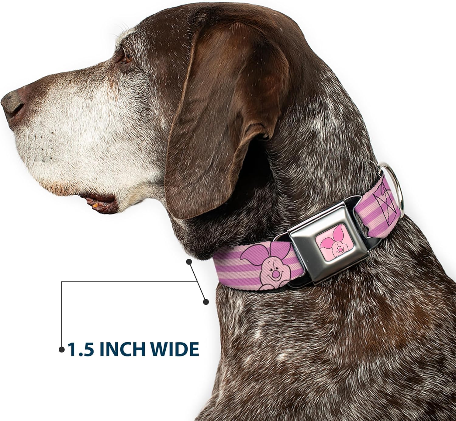 Disney Pet Collar, Dog Collar Metal Seatbelt Buckle, Winnie The Pooh Piglet Expression Close Up Stripe Pinks, 16 to 23 Inches 1.5 Inch Wide
