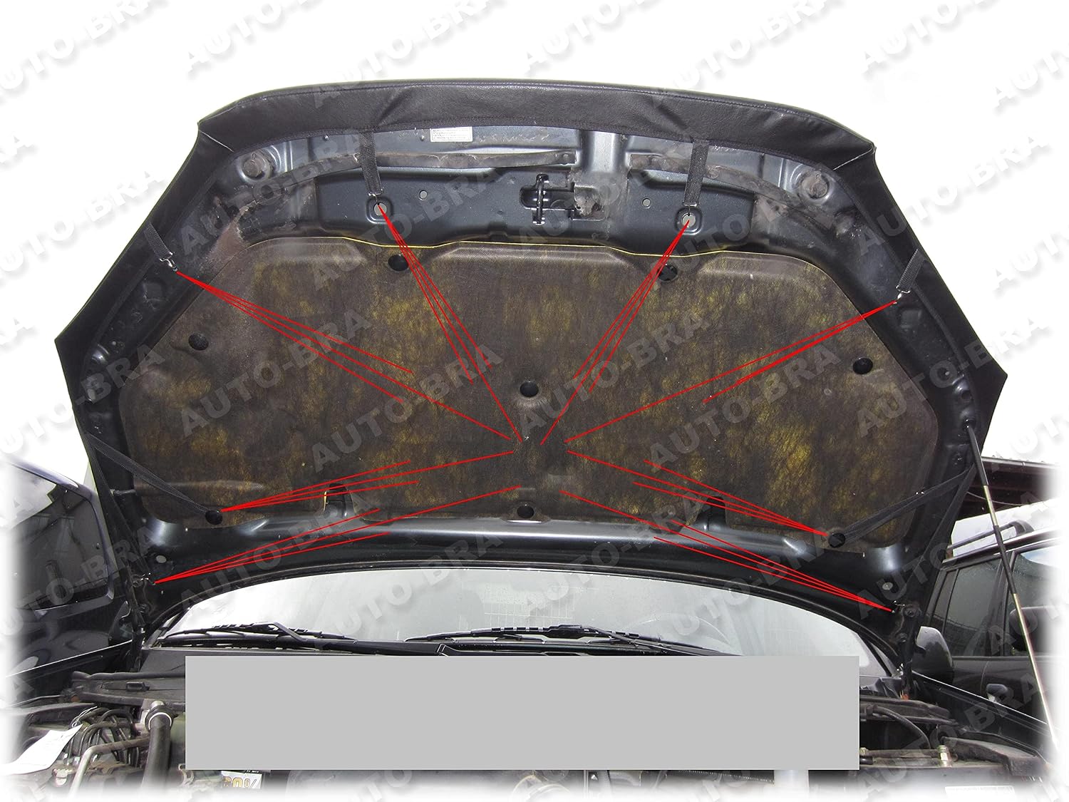 AB-00769 Carbon Fiber Look Hood Bra Compatible with Toyota RAV4 2000-2006 Front End Nose Mask Bonnet Bra