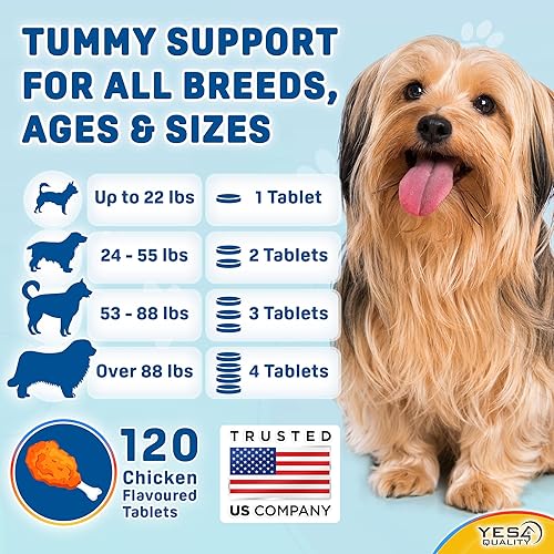 Miniatura 5 de Probióticos para perros, masticables prebióticos y probióticos para perros, pueden apoyar la inmunidad, la salud digestiva e intestinal, la diarrea,