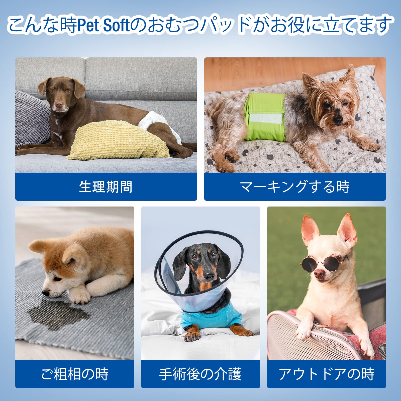 Amazon | 犬用おむつパッド 男の子 女の子兼用マナーパッド おむつ