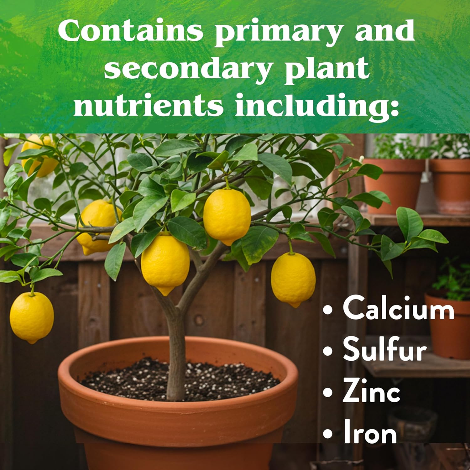 Down To Earth All Natural Fertilizers Organic Citrus Mix - Plant Food for Lemons, Limes, Oranges and Avocados 6-3-3, 25 lb