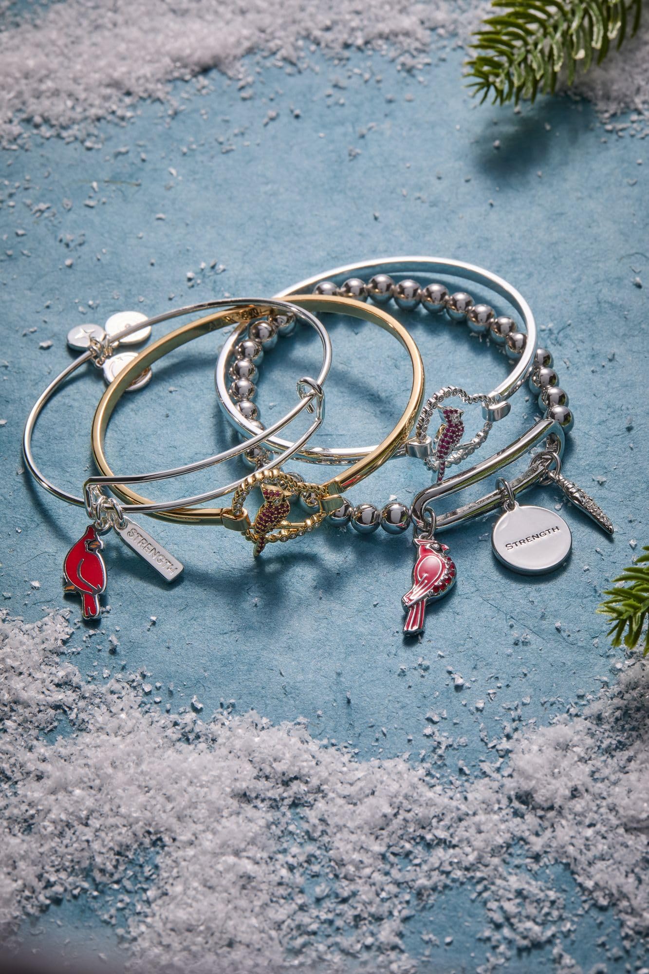 Alex and Ani Strength' Cardinal Duo Charm Bangle Bracelet