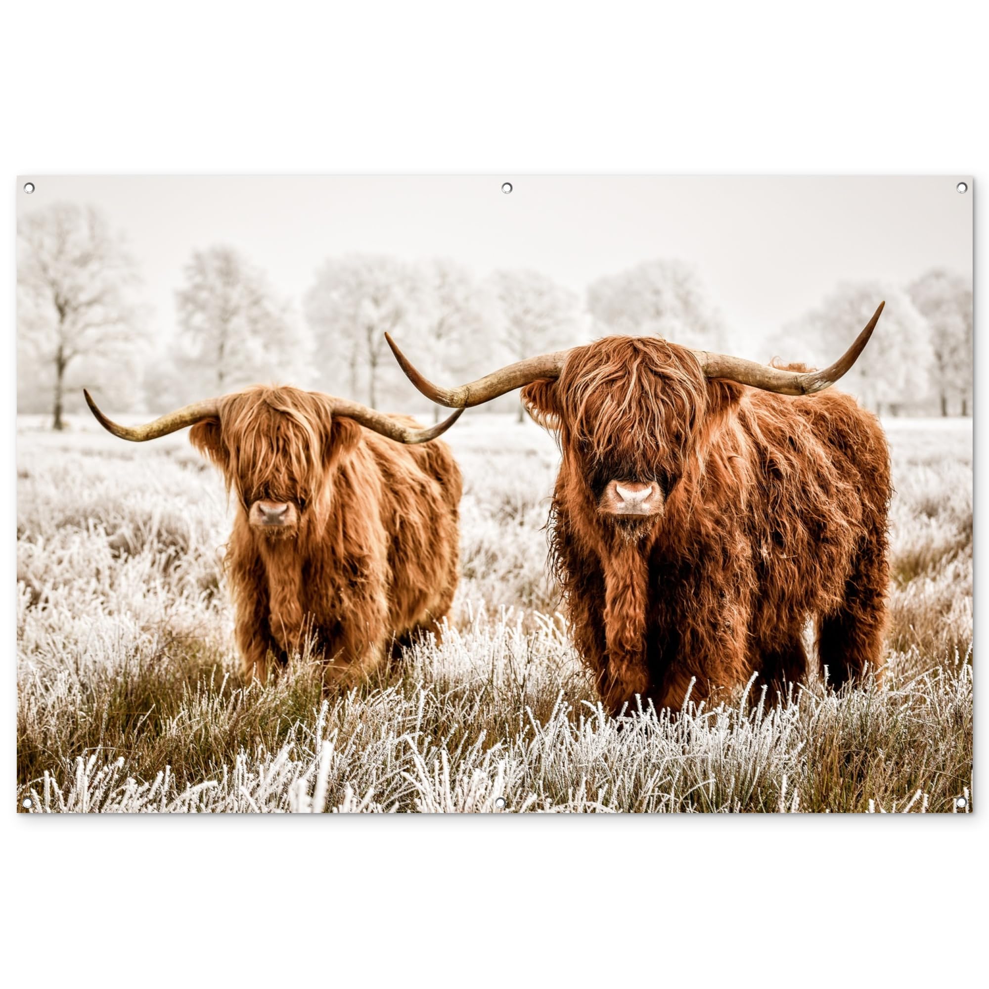 MuchoWow© Garden Decorations Outdoor 70"x47" / 180x120 cm Balcony Decor Posters For Gardens Accessories Outside Wall Art Decoration Scottish highlander - Cow - Nature - Winter — image 1