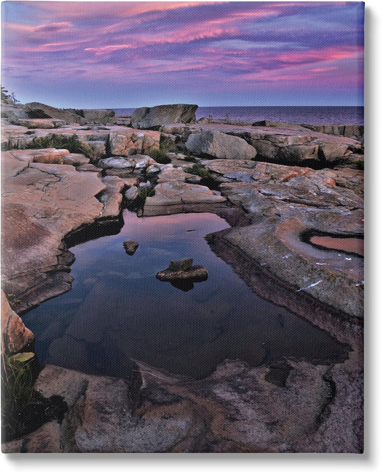 Stupell Industries Tide Pool Landscape Canvas Wall Art by Joseph Elliott