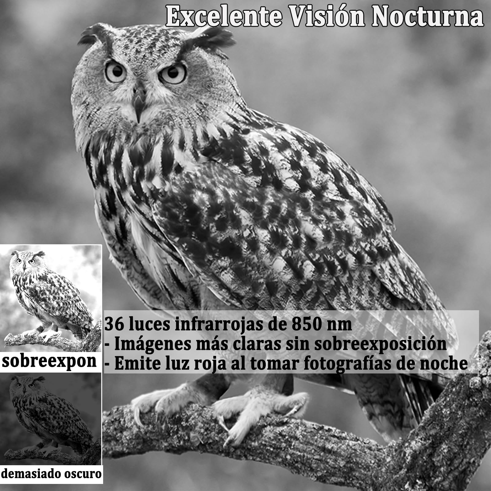 Camara Caza 50MP 4K, Camara Fototrampeo con Sensor de Movimiento, Cámara de Caza Nocturna Impermeable IP65, Visión Nocturna hasta 25m, Micro SD 32GB