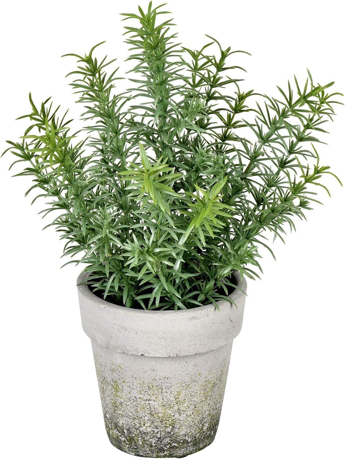 Vickerman Everyday 12.5“ Indoor Artificial Potted Green Plant - Antiqued Cement Pot - Decoration of Durable Polyester Plant in Pot - Maintenance Free
