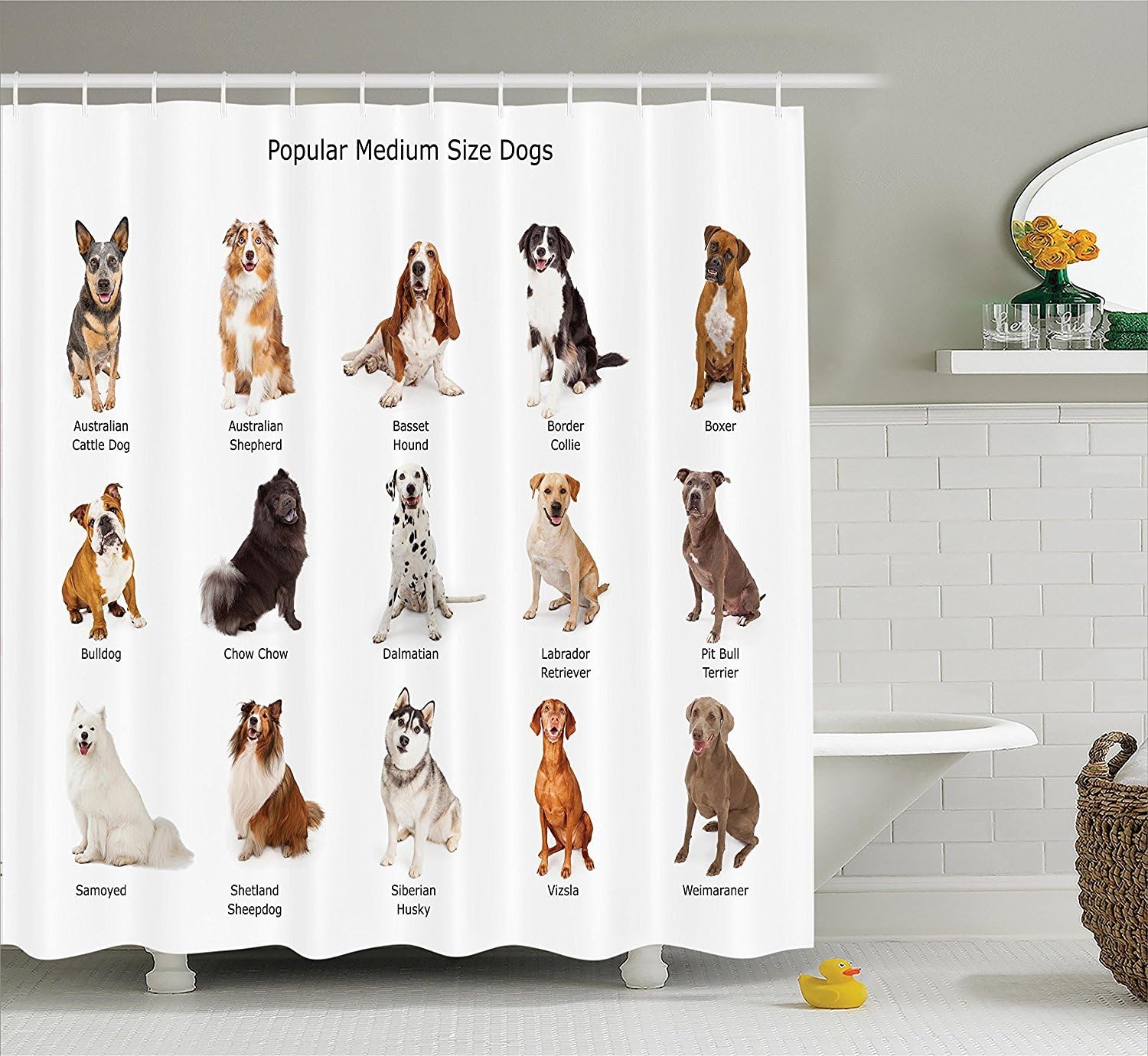 Ambesonne Dog Shower Curtain, Group Different Puppy Breeds Family Type Species Dalmatian Husky Bulldog Image Print, Cloth Fabric Bathroom Decor Set with Hooks, 69" W x 70" L, Multicolor