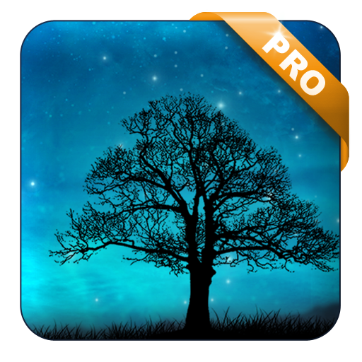 Dream Night Live Wallpaper Pro