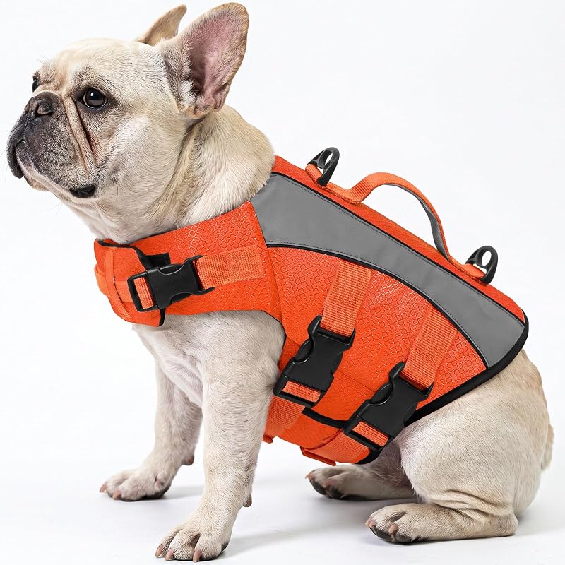 Colete salva-vidas para cães Queenmore XS em tecido Oxford Ripstop, Orange