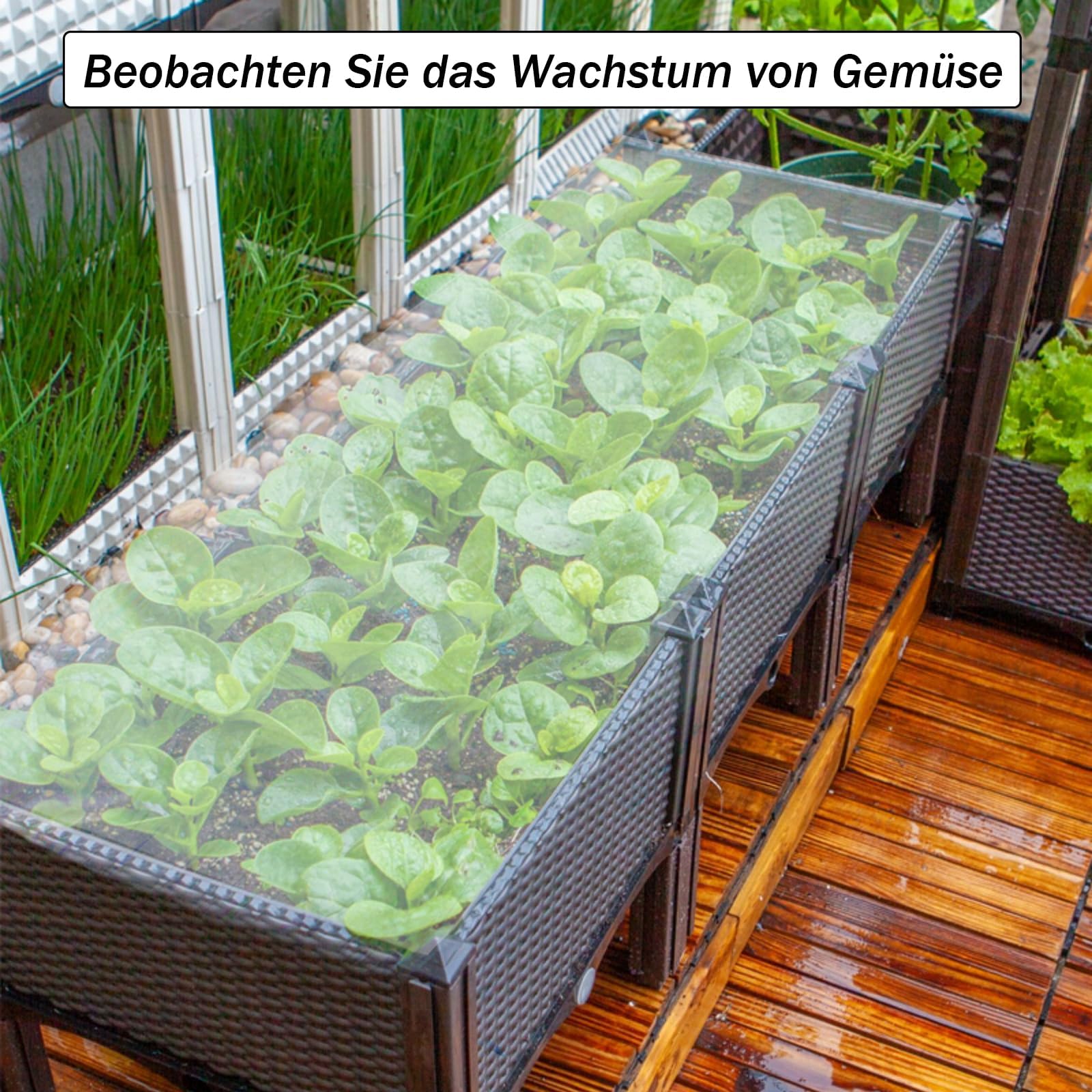 Film Transparente para Invernaderos, Film Transparente 2 x 10 m, Film de Invernadero Resistente al Desgarro, Film Hortícola de Polietileno, Film de Plástico, para Cubrir Verduras y Plantas