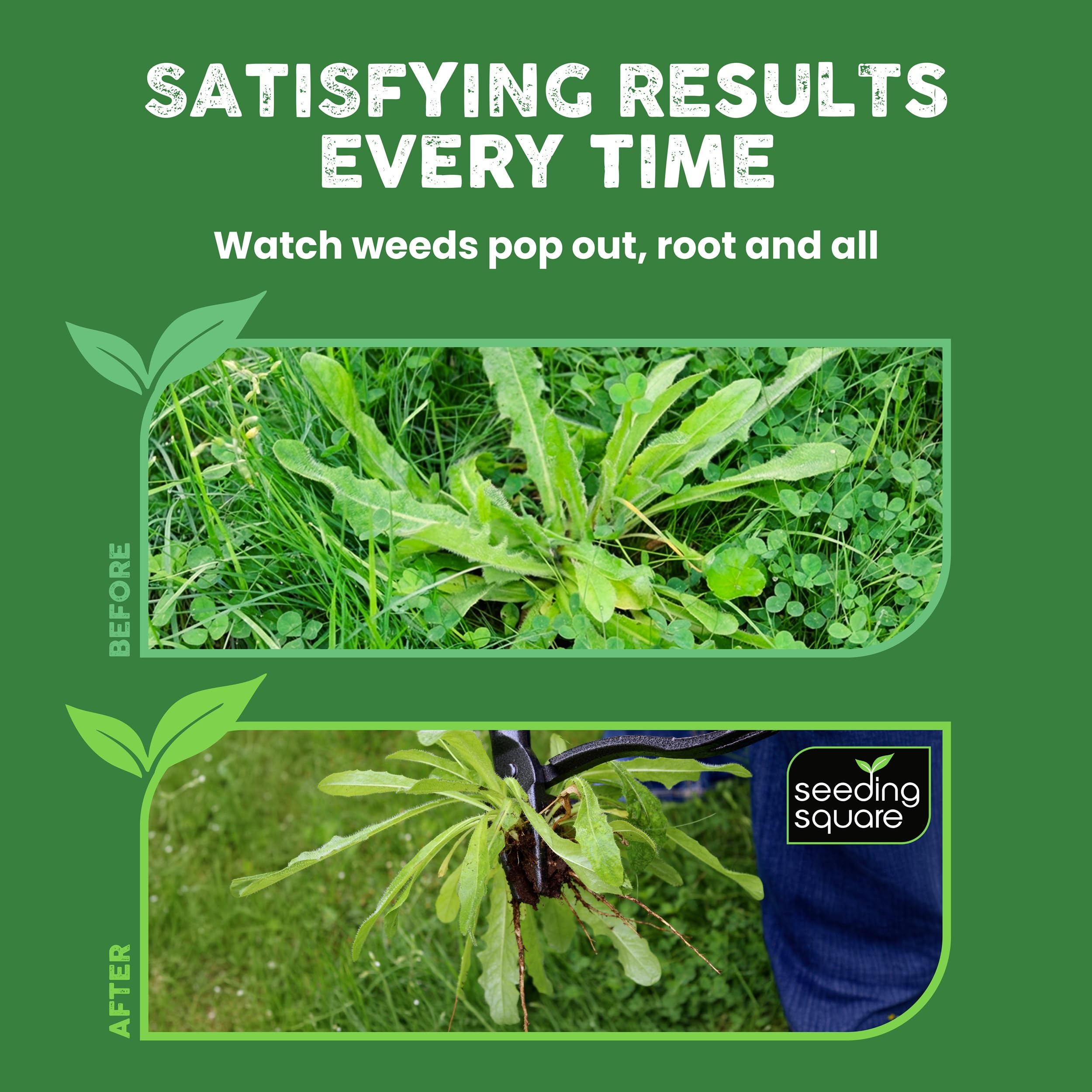 Seeding Square The Weed Gobbler Carbon Steal & Bamboo Stand-Up Unkrautentferner Werkzeug für Löwenzahn und einwurzelige Unkräuter - Ergonomischer Rasenjäter für rückenschonende Unkrautentfernung