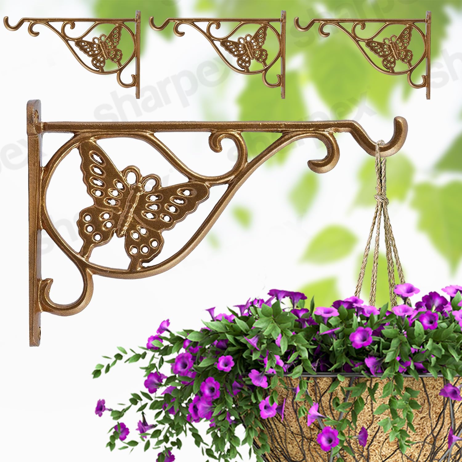 Metal Wall Brackets - Decorative Plant Hangers -10