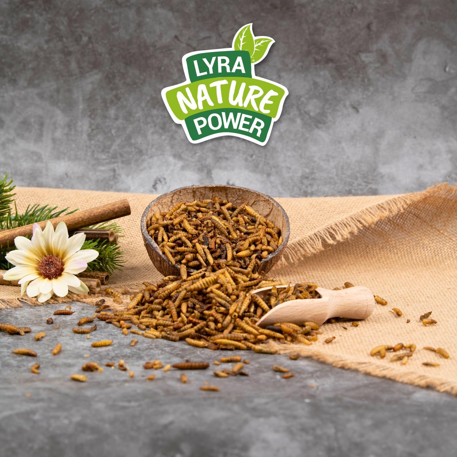 Lyra Pet® 10 kg Soldatenfliegenlarven getrocknet - Hermetia Illucens | Black Soldier Fly - wie Mehlwürmer - reich an Kalzium & Proteinen energiereiches Futter für Vögel, Fische, Nager & Reptilien