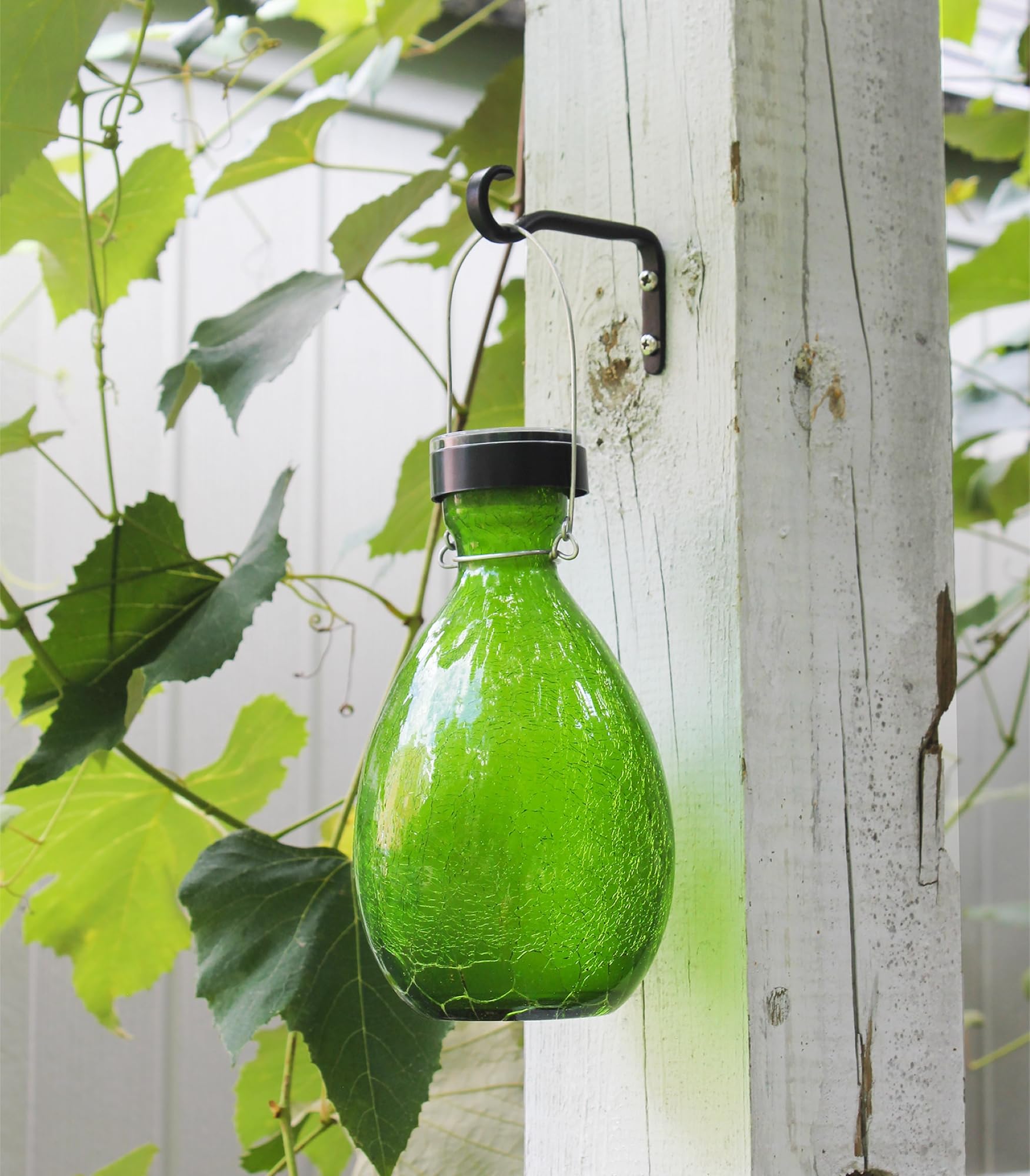 Image secondaire de Achla Designs Lot de 2 Supports Muraux en Treillis Noir 8,9 cm