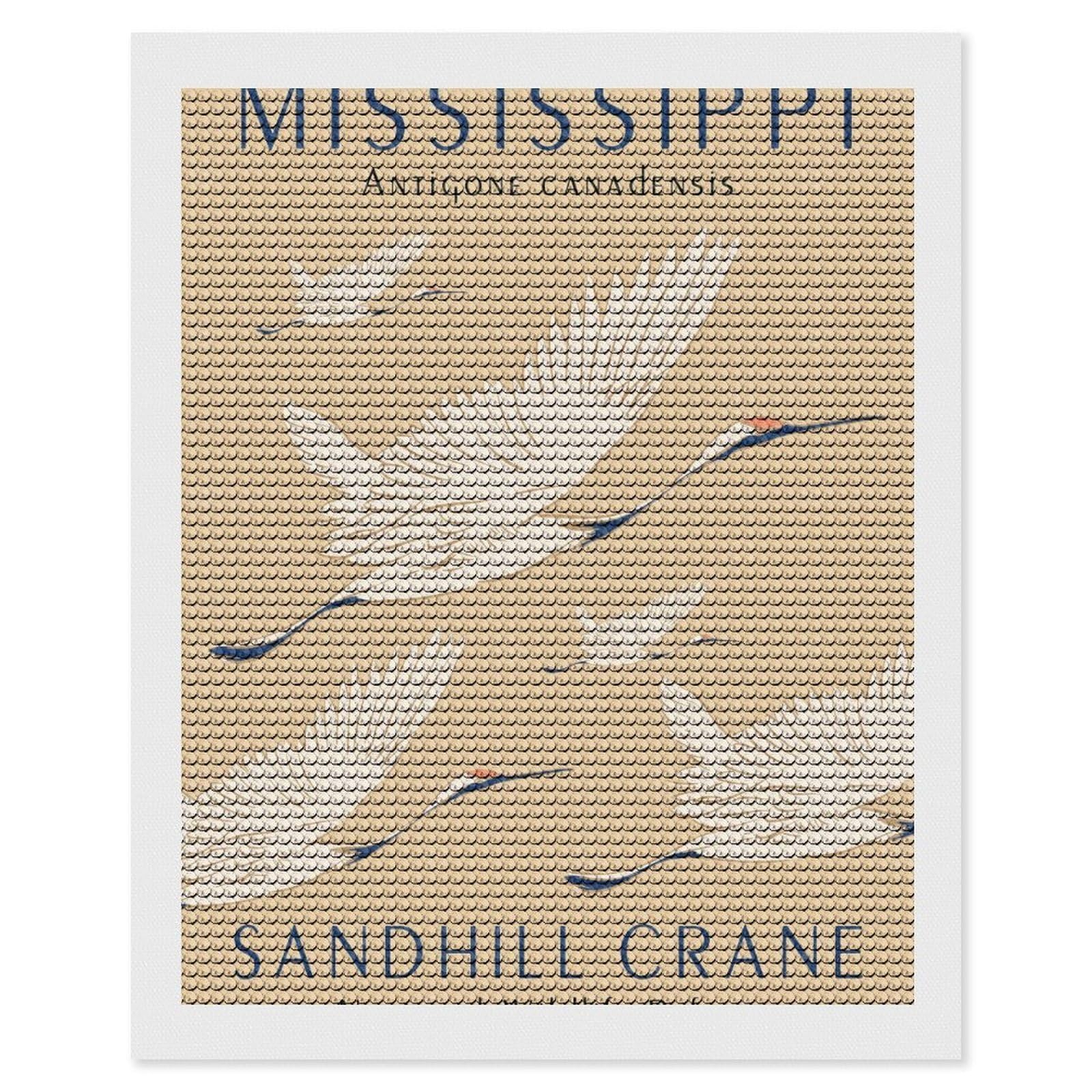Junmoney Mississippi Sandhill Crane Diamond Painting Canvas Set 16"x20", Full Kit Included, Calming Craft to Unwind, Farmhouse Decor, Christmas Gift