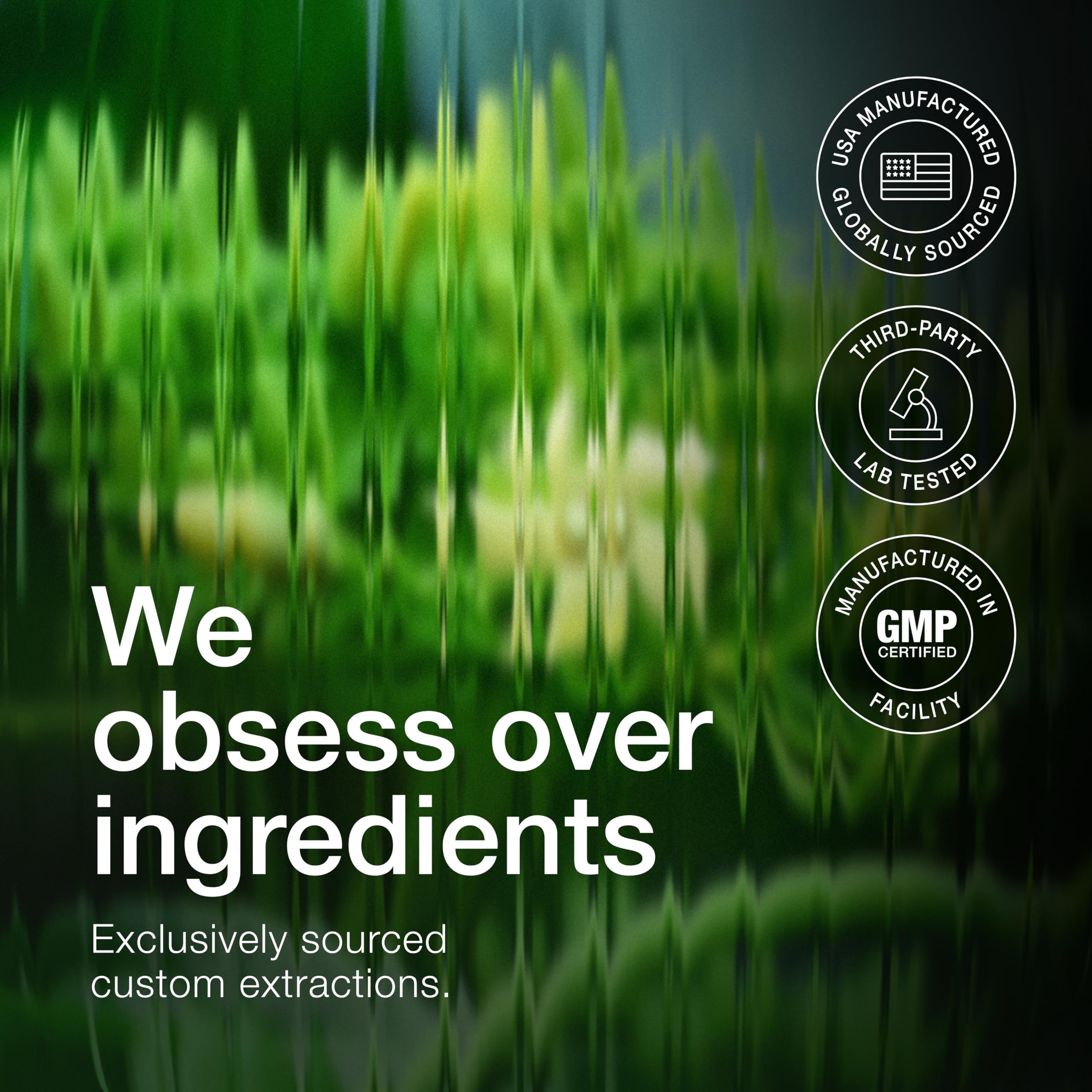 Toniiq Gymnema Sylvestre – Ultra High Potency 25:1 Extract — Amazon image 7