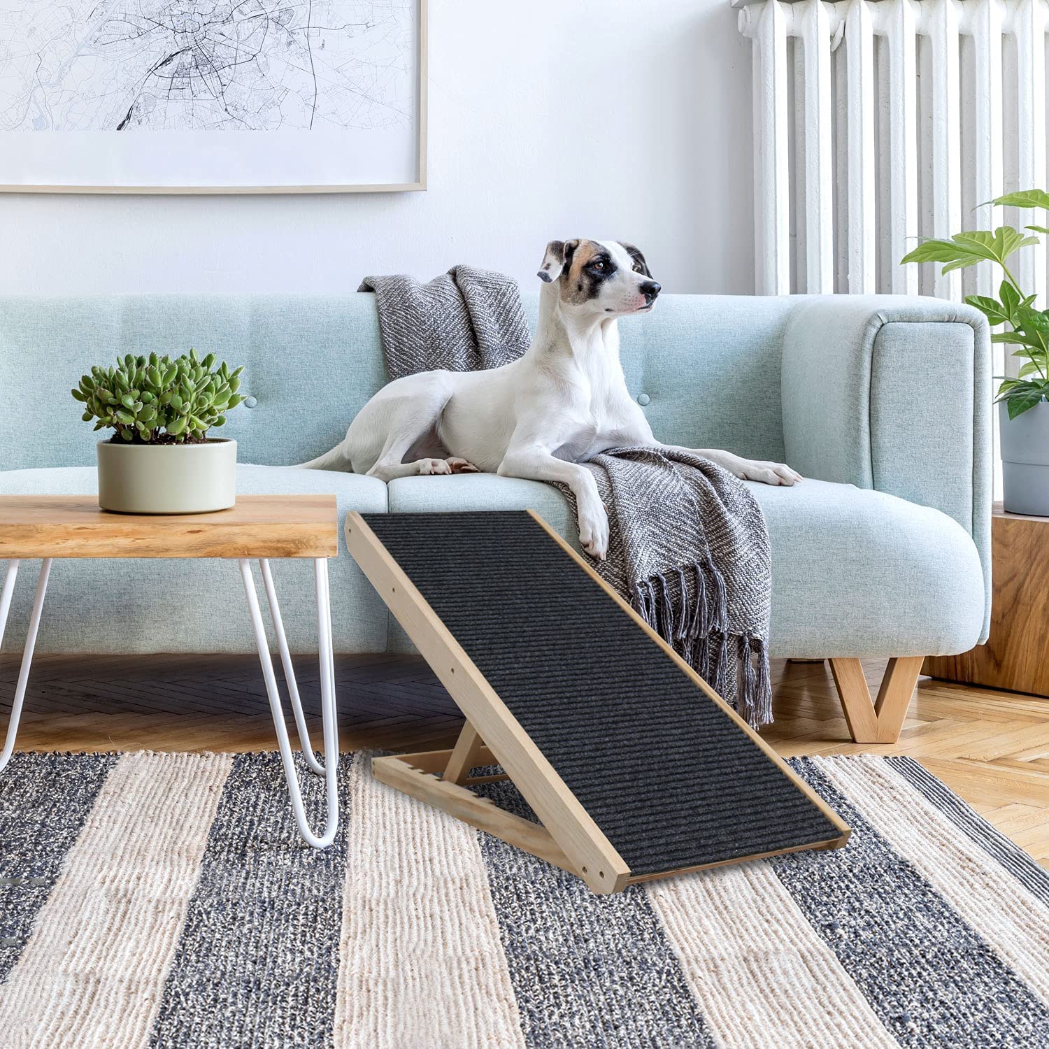 Rampe pour Chien et Chat avec Tapis Antidérapant - Supporte 150kg, Hauteur Réglable 30cm à 60cm, Pliable pour Voitures, Lit et Canapé