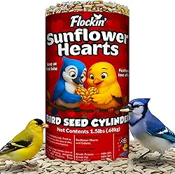 100% corações de girassol para pássaros – Cilindros de semente de pássaro premium com furo – semente de pássaro de girassol descascado – Atrai cardeais, gaios azuis, pintassilgos e chickadee – sem