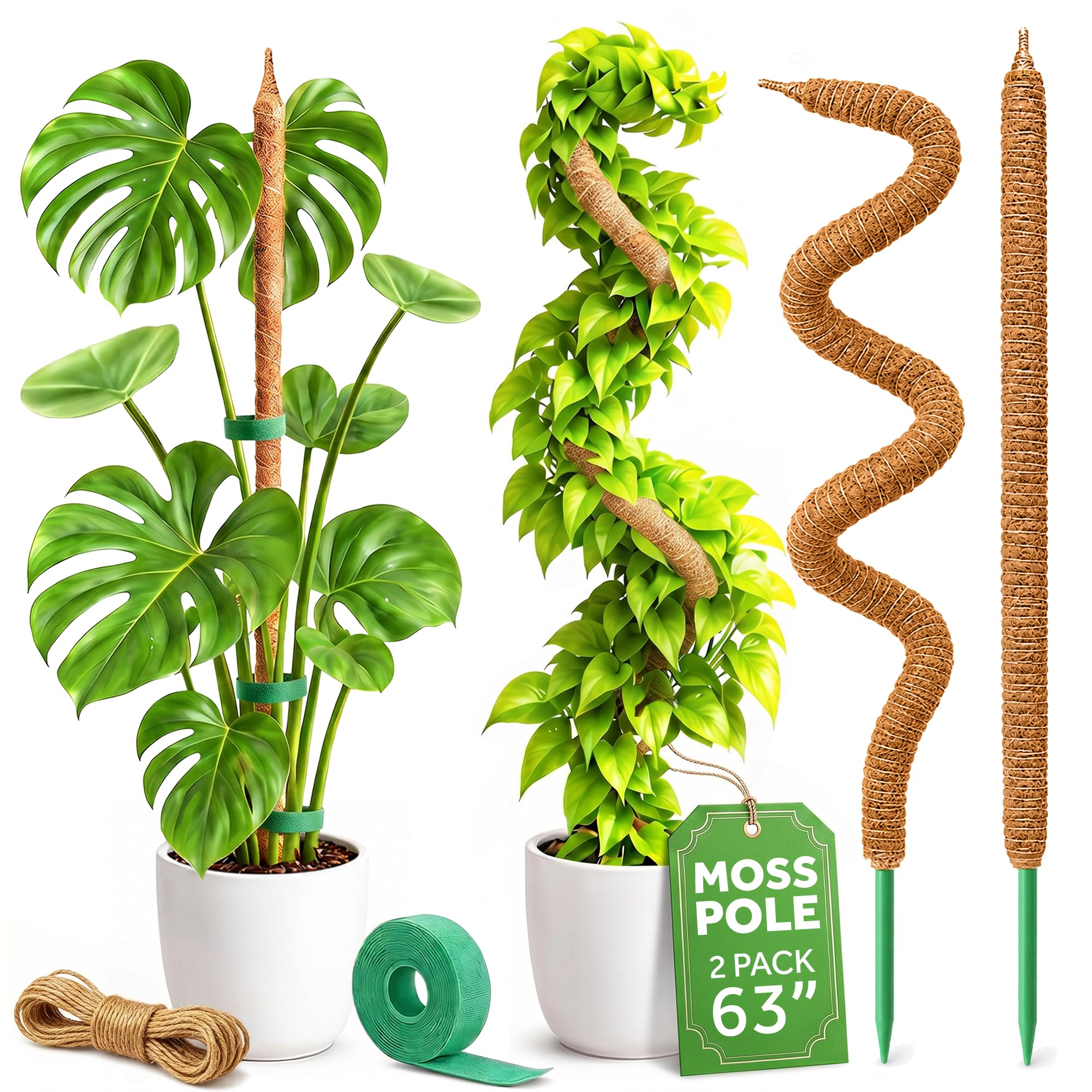 K-Brands Paquete de 2 postes de musgo – Soporte para plantas Monstera de 63 pulgadas – Postes de musgo para plantas trepadoras Monstera – Soporte flexible para plantas de plantas – Kit de estacas para