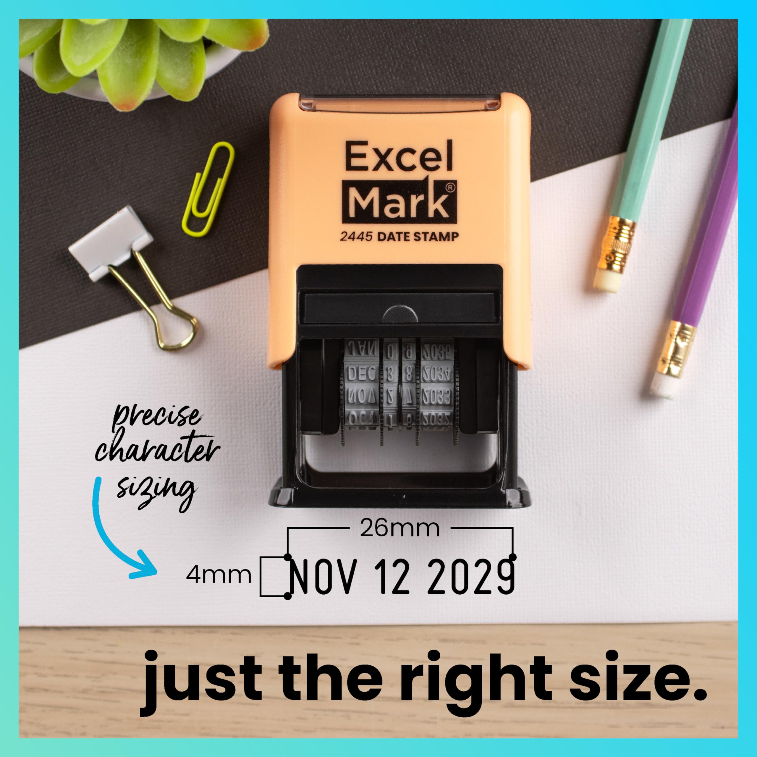 ExcelMark 2445 - Timbro con data, perfetto per spedizione, ricezione, scadenza e scadenza (inchiostro nero, supporto pesca)