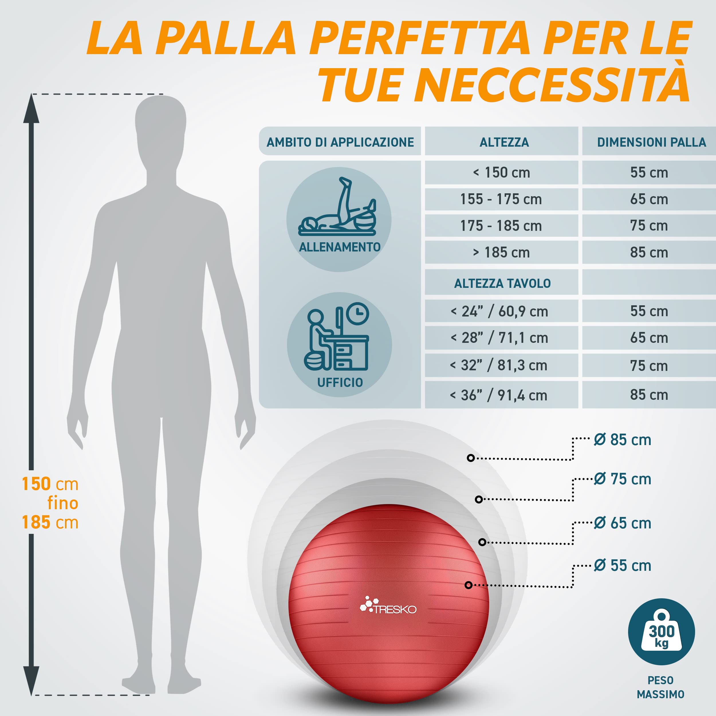 TRESKO Palla Fitness, Palla Pilates Anti-Scoppio 55cm/65cm/75cm/85cm Palla da Ginnastica con Pompa Rapida per Fitness Yoga e Pilates