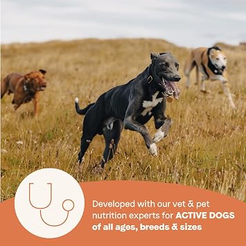 Canidae All Life Stages High Protein Multi-Protein Recipe with Chicken, Turkey, Lamb, and Fish Premium Dry Dog Food for All Ages, Breeds, and Sizes 27 lbs.