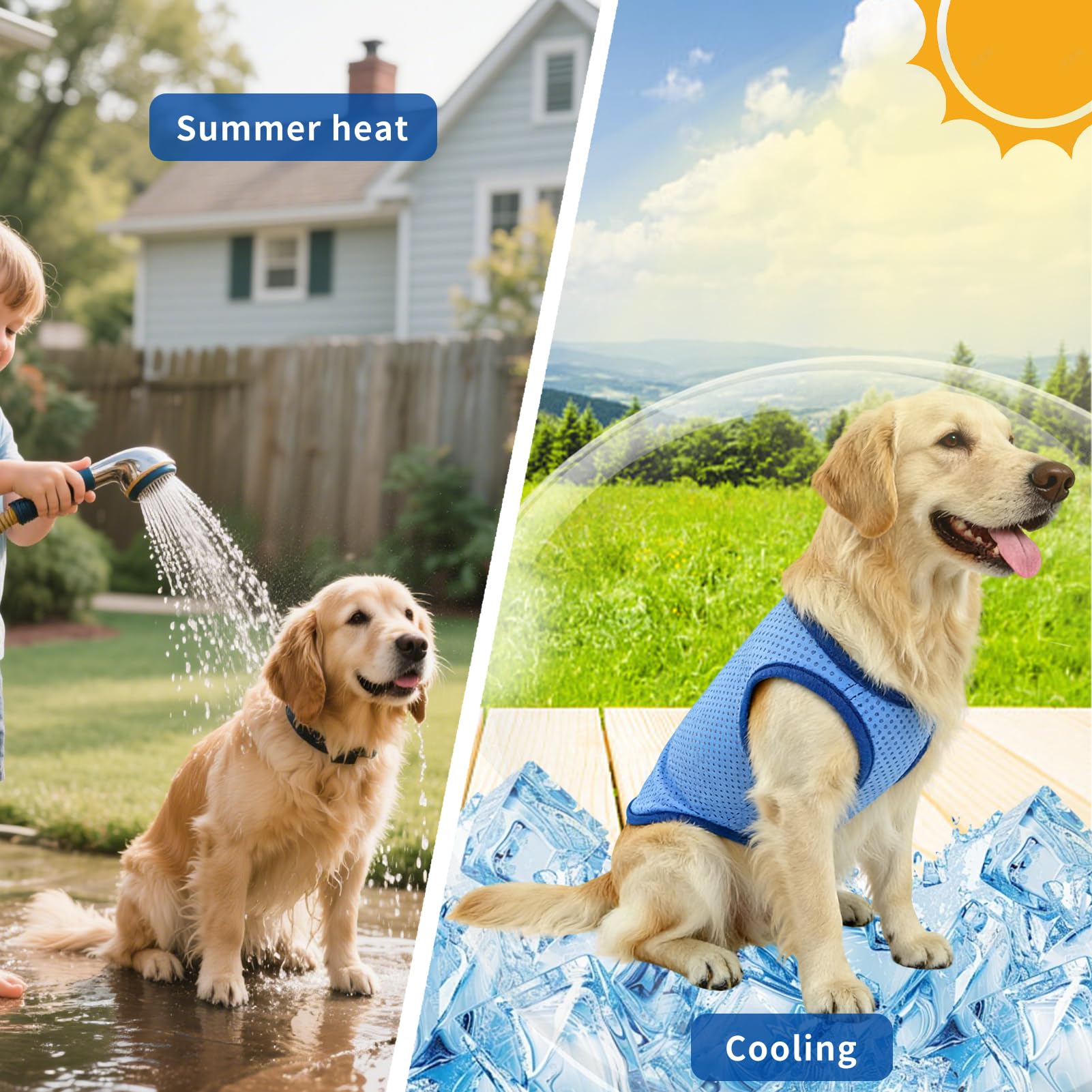 Veste de Refroidissement pour Chien Respirante été, Gilet Rafraichissant Chien, Style sans Manches Frais et Confortable, Manteau Rafraichissant pour Chien, Accessoires Généraux (XL)