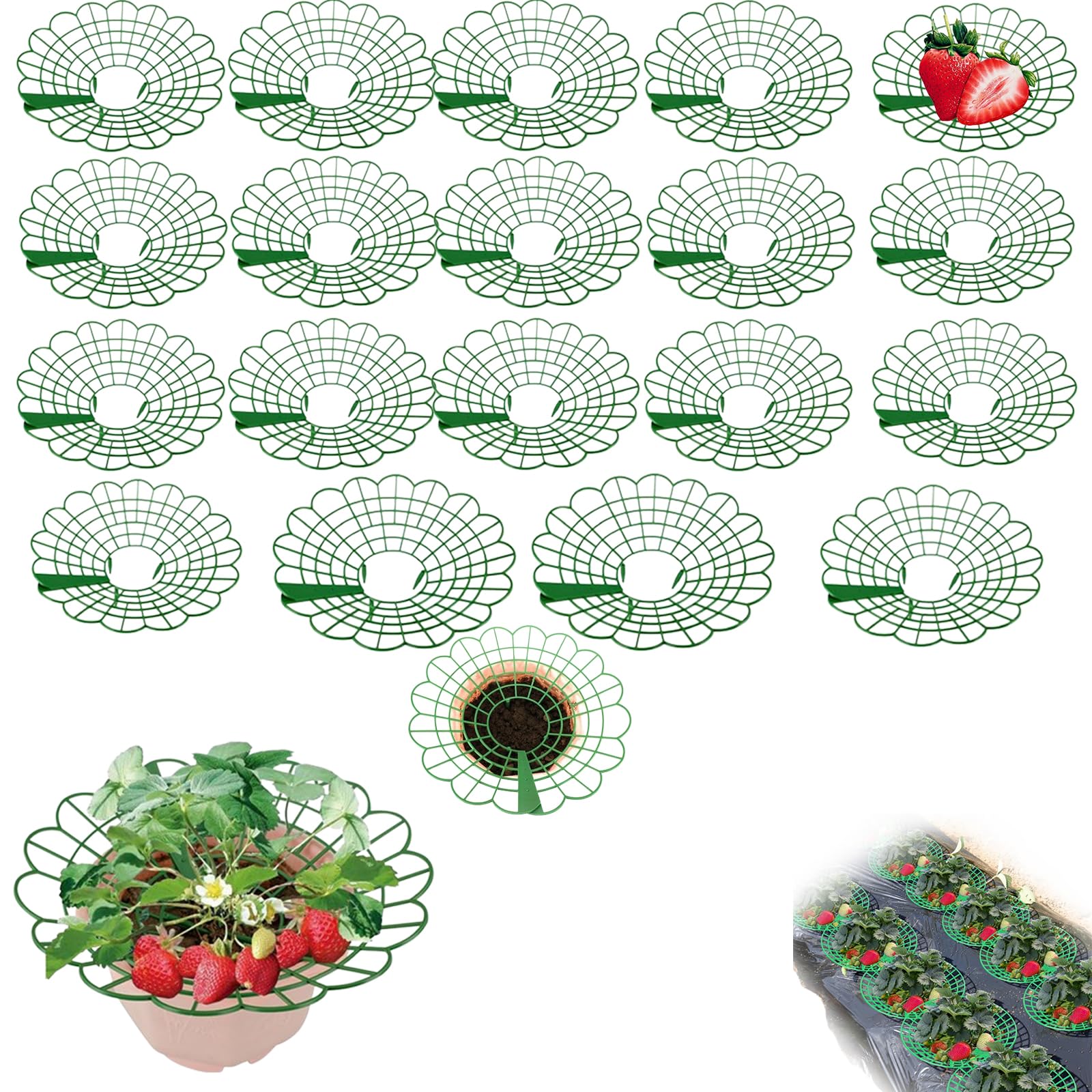 10 Supporti per Fragole, Rastrelliera per Fragole Da Giardino,Supporto