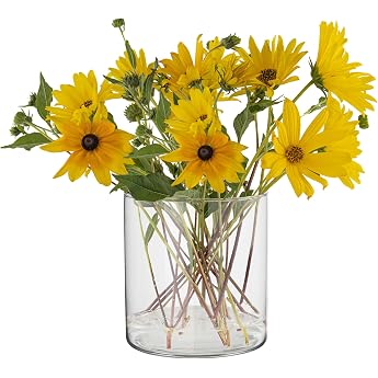 Trend For Home Glass Cylinder H 15 cm Flower Pot Glass Cylinder Shape Glass Vase Round Decorative Glass for Candles Transparent Vase Round Tulip Vase Glass Cylinder for Candles Diameter 15 cm 2350 ml Calen