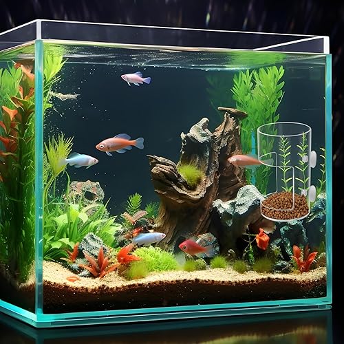 New Fish Tank Feeding Tray with Suction Cup, Feeding Tube Supplies, Tank Divider Supplies, Breeder Box for Aquarium, Round Aquariums & Fish Bowls Accessories(2Pcs)